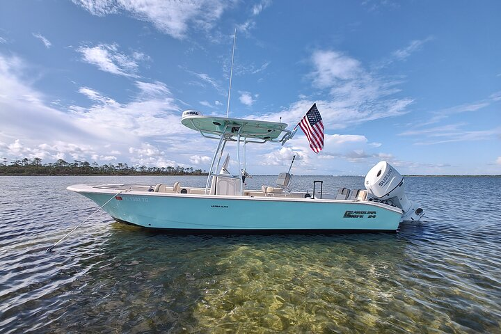 2-Hour Private Sightseeing Dolphin Tour in Panama City Beach - Photo 1 of 13